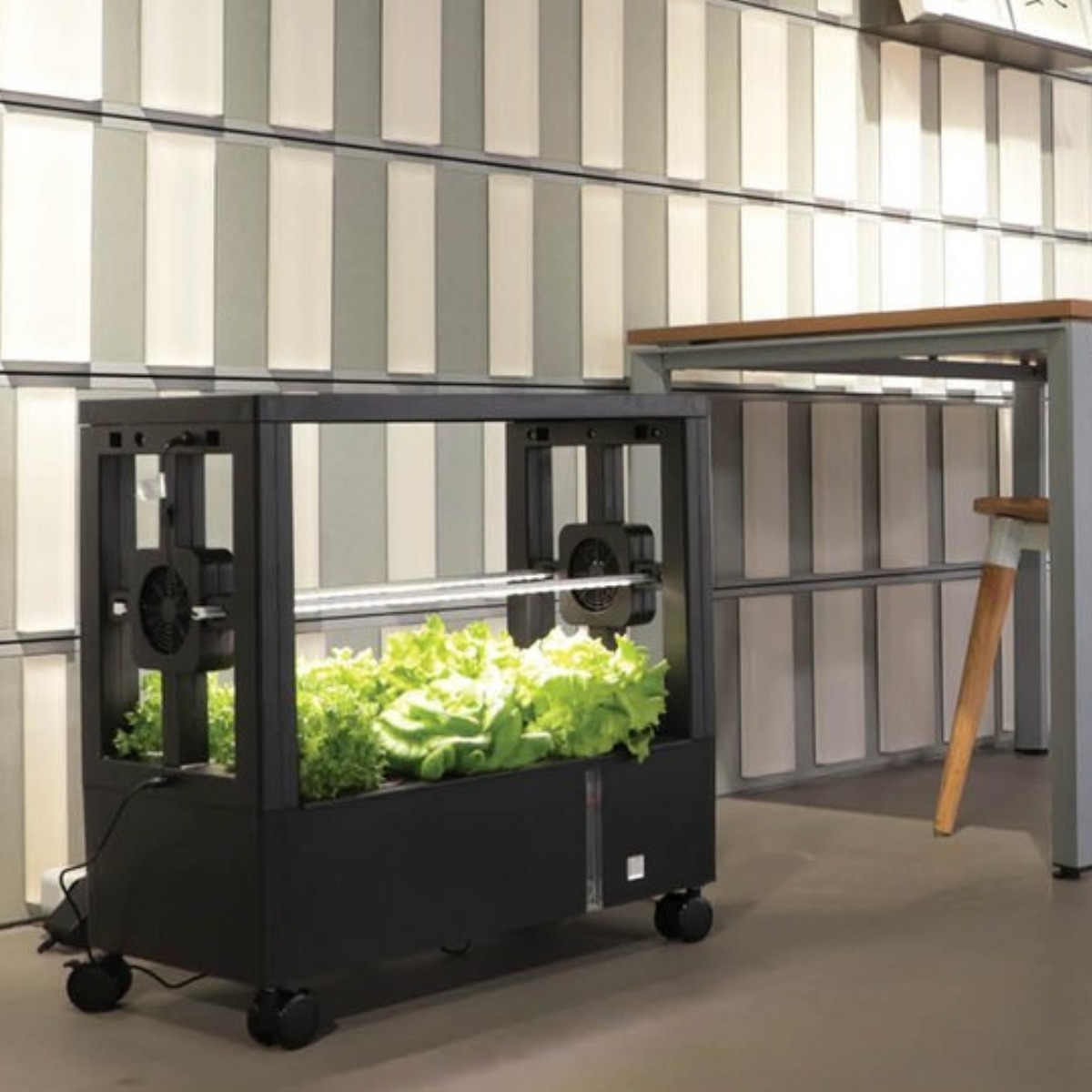 수경팜 수경재배기 1단 국내제작/조달청/학교장터 등록 가정용 매장전시 체험학습용 식물재배기 스마트팜 단수 조절 가능 289,000원