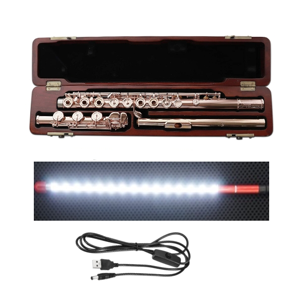 드림테크 양방향 LED 관악기 검사봉 색소폰 플릇 클라리넷 검사봉, 55cm, 1세트 23,900원