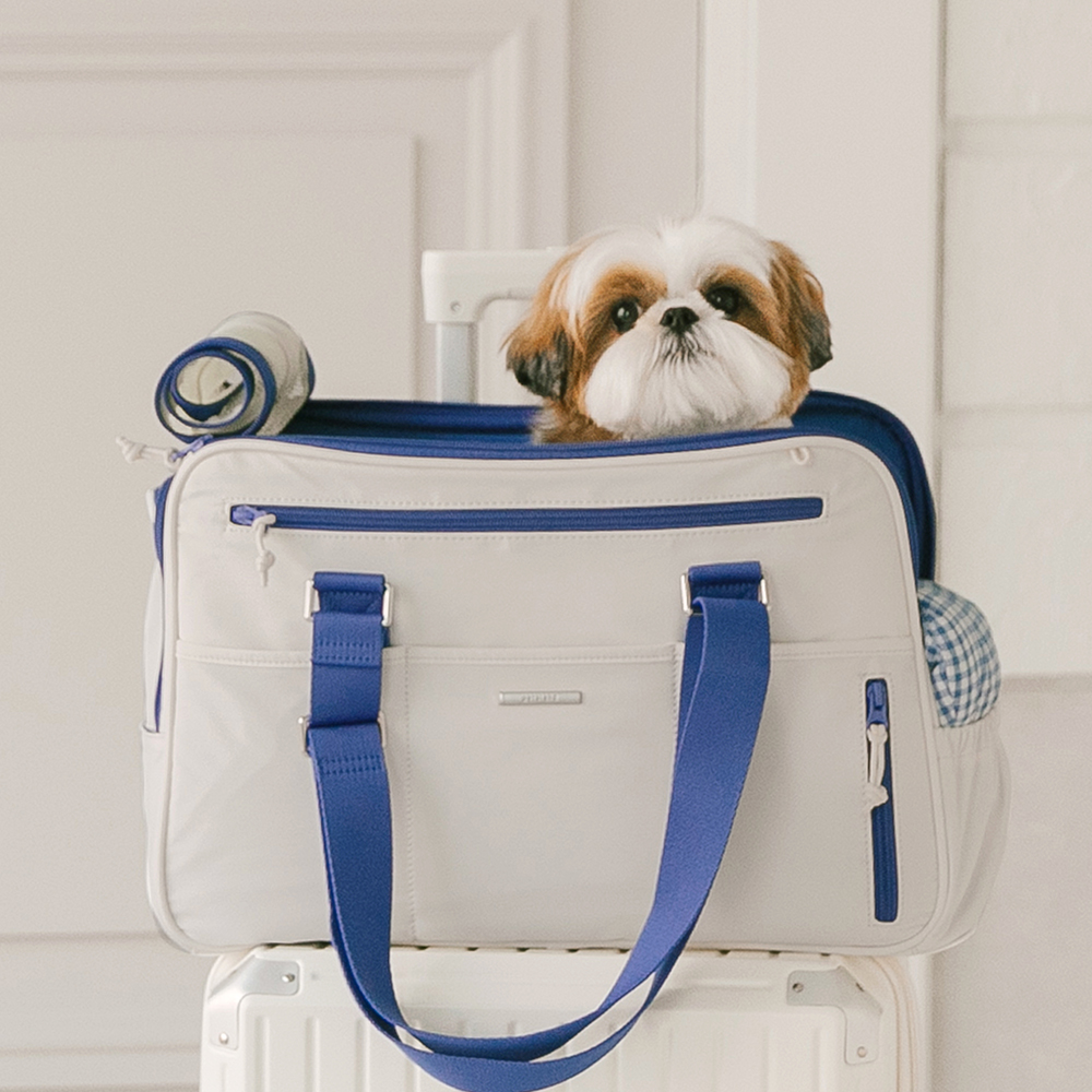 펫츠랜드 반려동물 모션라인백 + 이너쿠션 세트 101,200원