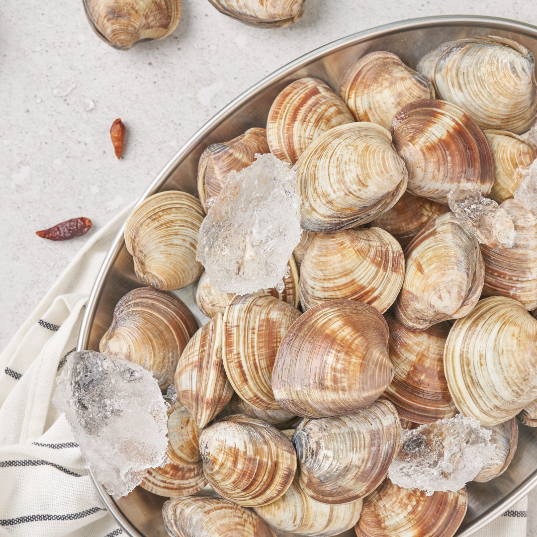 살아있는 백생합 5kg 해감완료 오씨수산 조개찜 36,000원