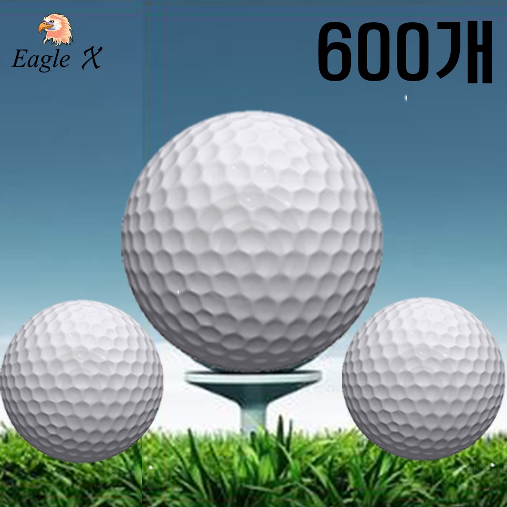 이글엑스 스크린 오염방지볼 무지볼 가성비짱 연습용 연습볼 노브랜드 레인지볼 골프존 골프공 GDR골프공 아파트 피트니스 인도어연습장 330,000원
