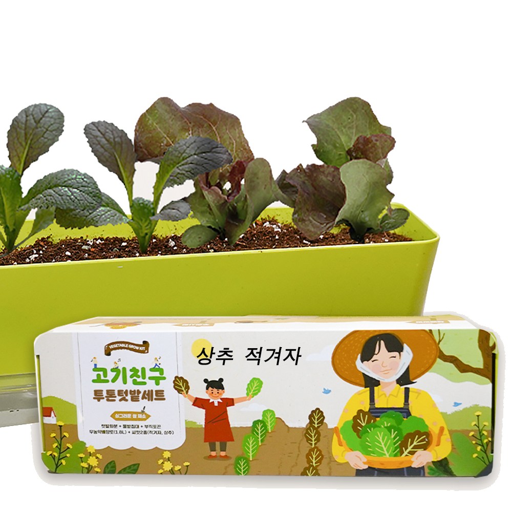 오이 방울토마토 키우기 키트 열매채소 텃밭가꾸기 베란다텃밭 13,500원