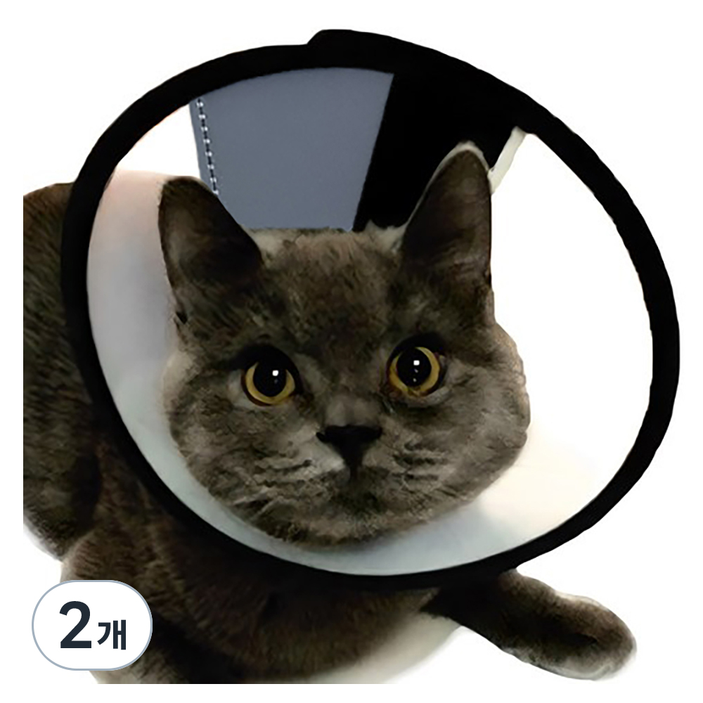 아리코 반려동물 긁음방지 깔대기 넥카라 3,900원