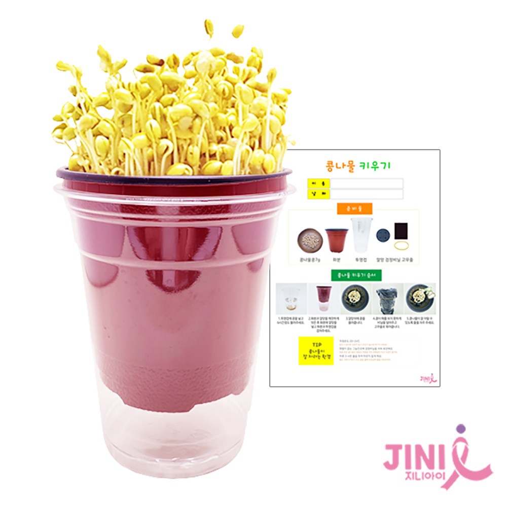 지니아이 콩나물 키우기 세트 관찰일지 재배기 식물키트 관찰학습, 1개 13,500원