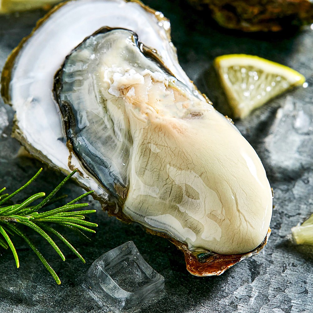 [모두밥상] 살이 옹골차게 오른 남해안 굴 생굴 산지직송 88,400원