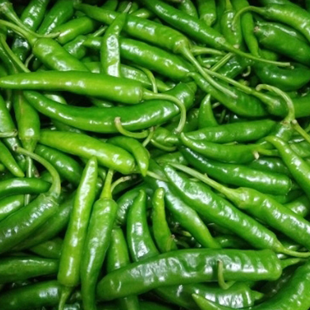 [산정] 맛있게 매운 청양고추 39,900원