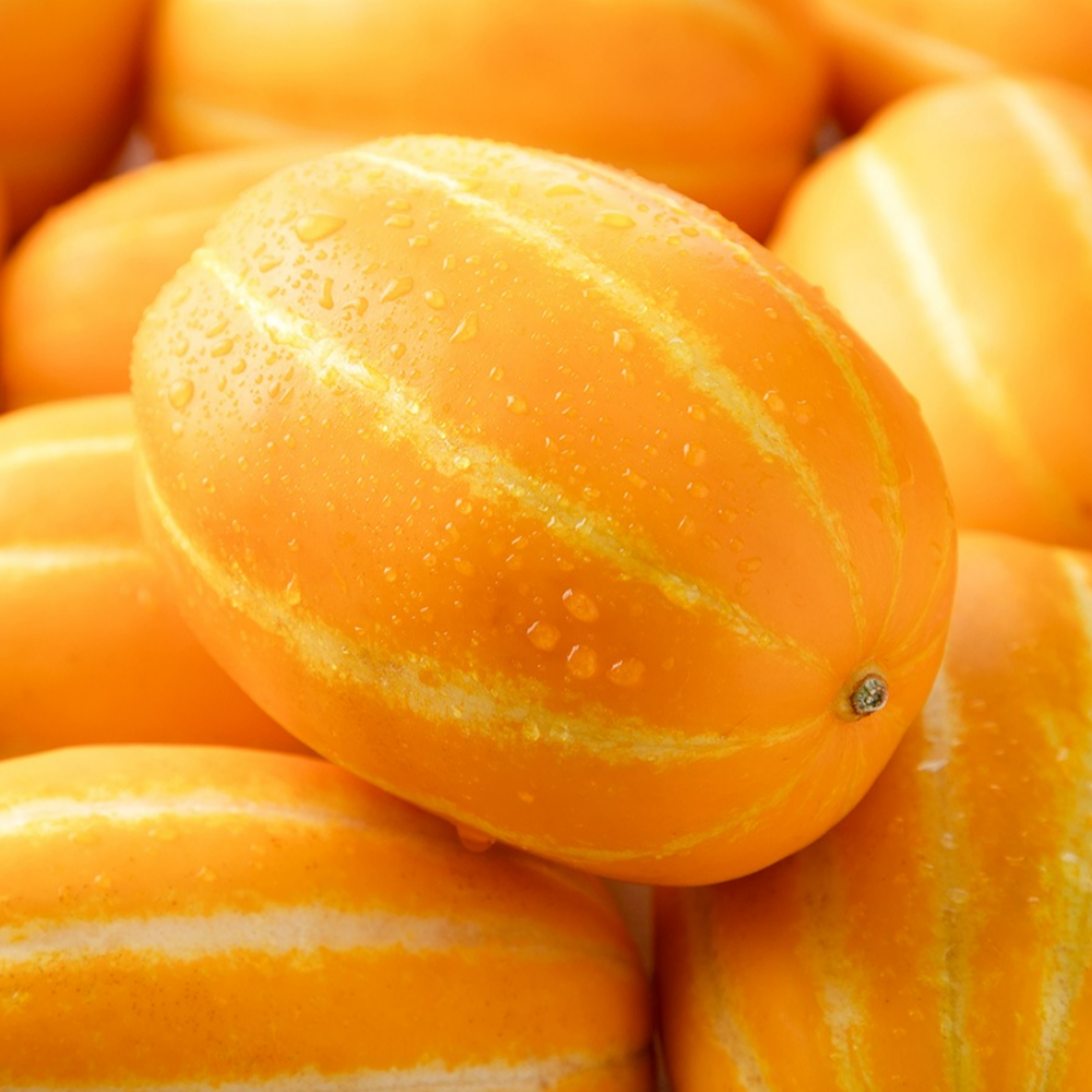 [굿피플] 참외 못난이참외 성주참외 꿀참외 과일 10,960원