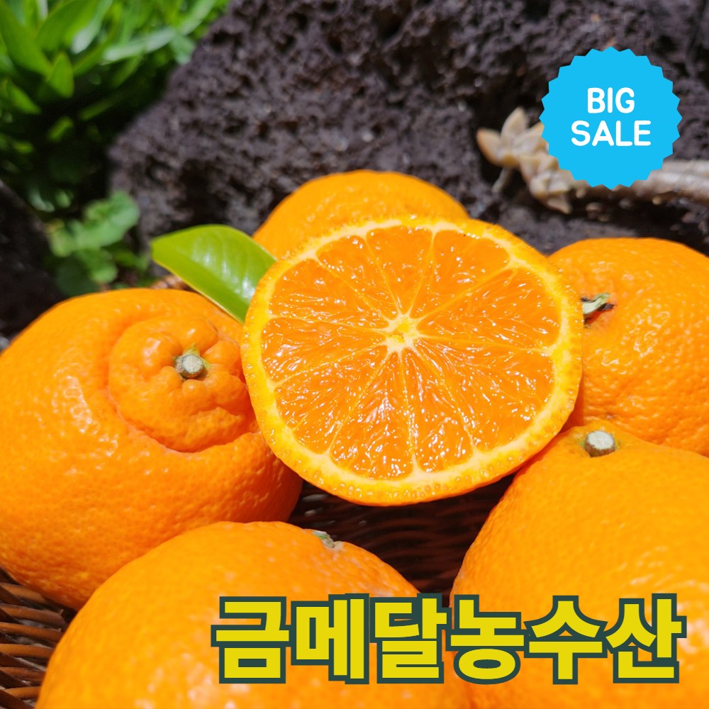 금메달농수산 15브릭스 프리미엄 제주 카라향 11,900원