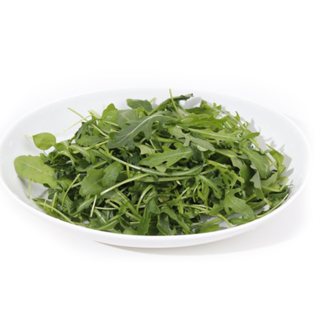 쉐프의정원 와일드루꼴라 1kg 6,900원