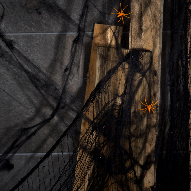 파티팡 할로윈 소품 거미줄, 블랙 5개 8,800원