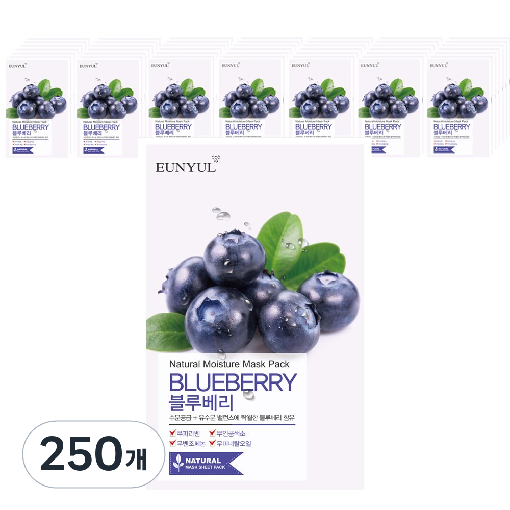 은율 내츄럴 블루베리 마스크팩, 1개입, 250개 103,100원