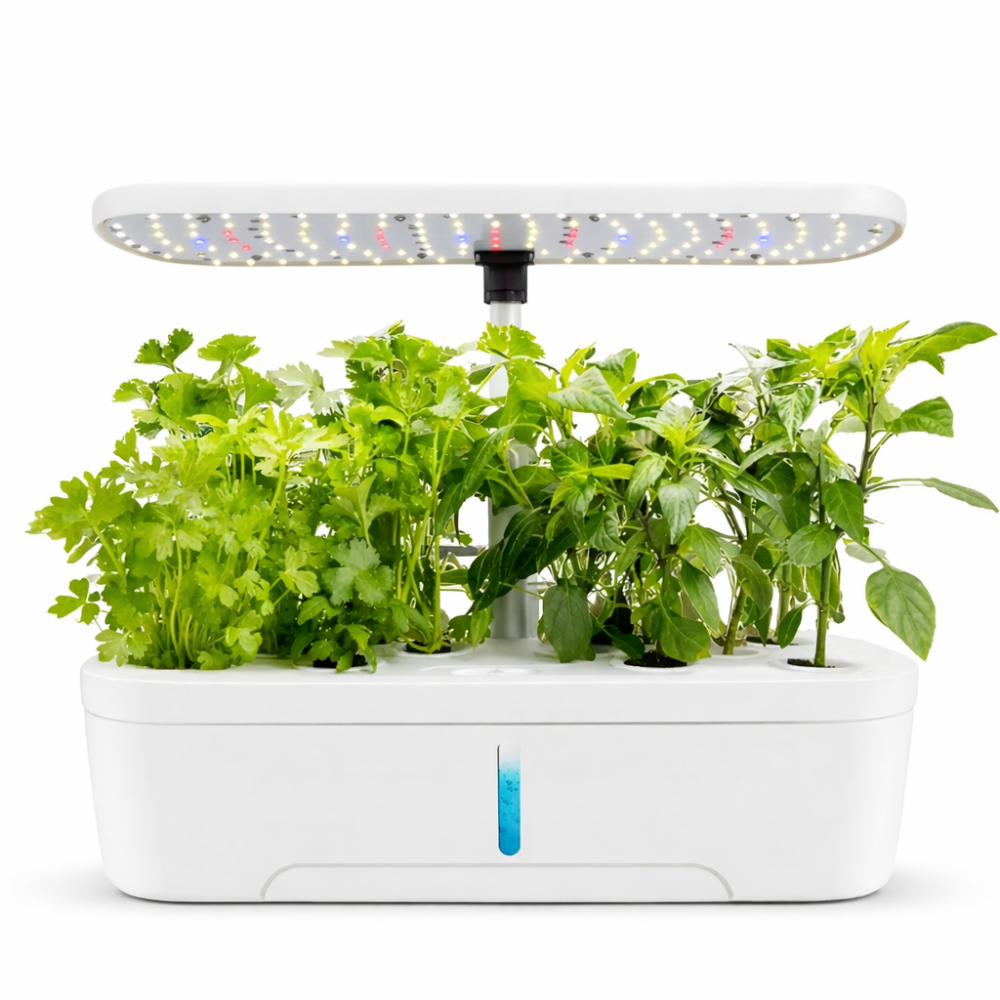 초록무럭3 초보자도 쉽게 가정용 야채 식물 수경재배기 식물재배기 실내 스마트팜 채소 식물키우기, 1개, 화이트 139,000원
