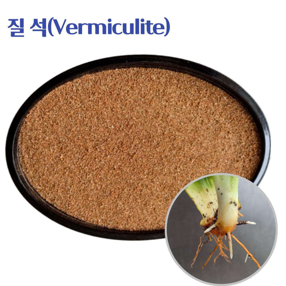 골드질석 삽목용 분갈이흙 파종용 테라리움 용토 8,820원
