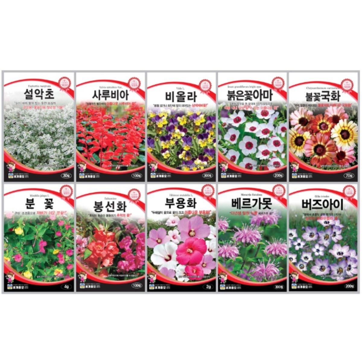 모듬 꽃씨앗 10종 B세트 봄 가을 사계절 파종 버즈아이,베르가못,부용화,봉선화,분꽃,불꽃국화,붉은꽃아마,비올라,사루비아,설악초 꽃씨 모음 19,990원