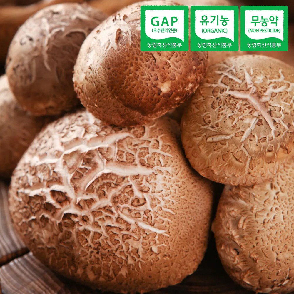 국내산 무농약 화고버섯 500g 산지직송 GAP인증, 1개, 500g 16,900원