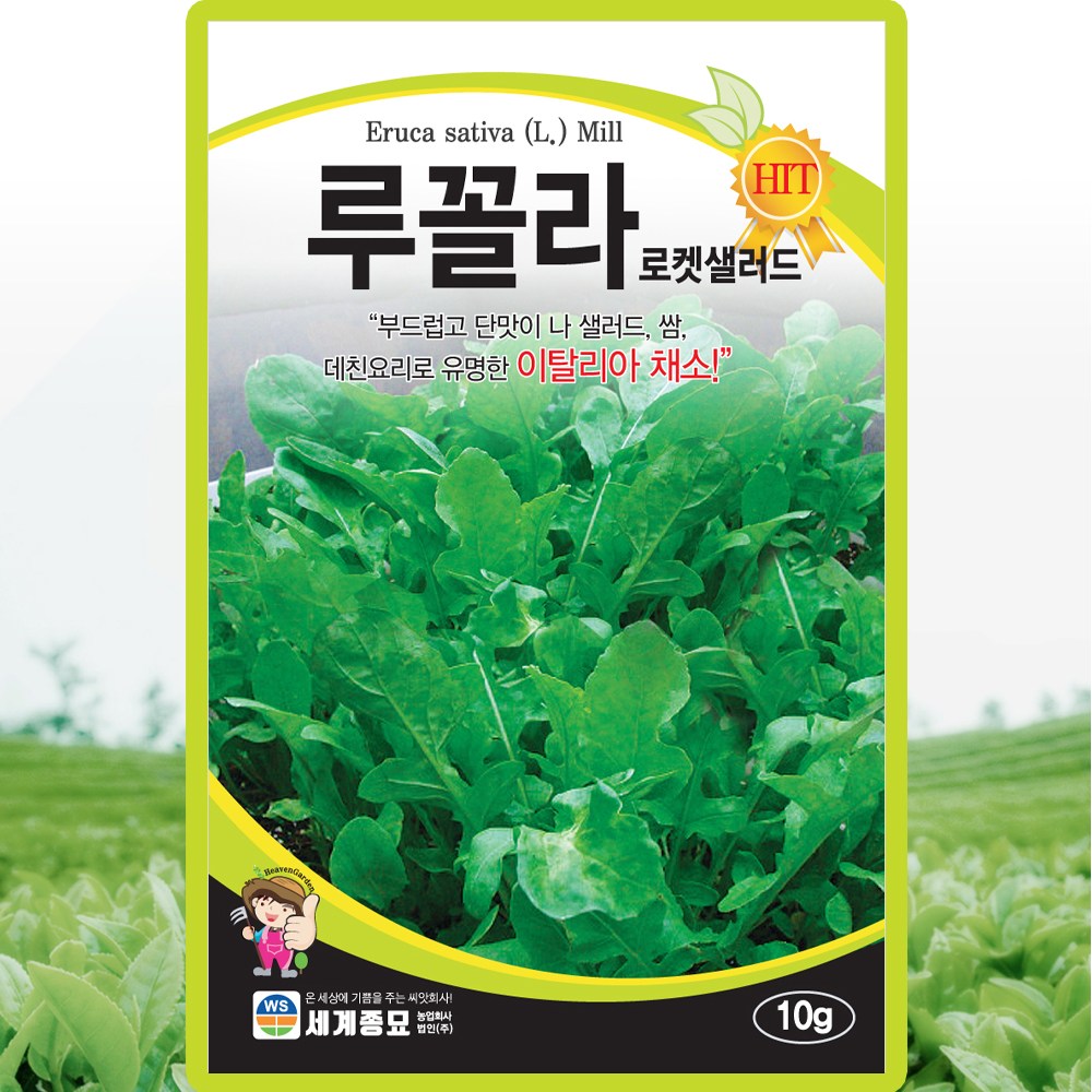 세계종묘 루꼴라 씨앗 10g 로켓샐러드 루꼴라씨 이탈리아 채소 종자 4,600원