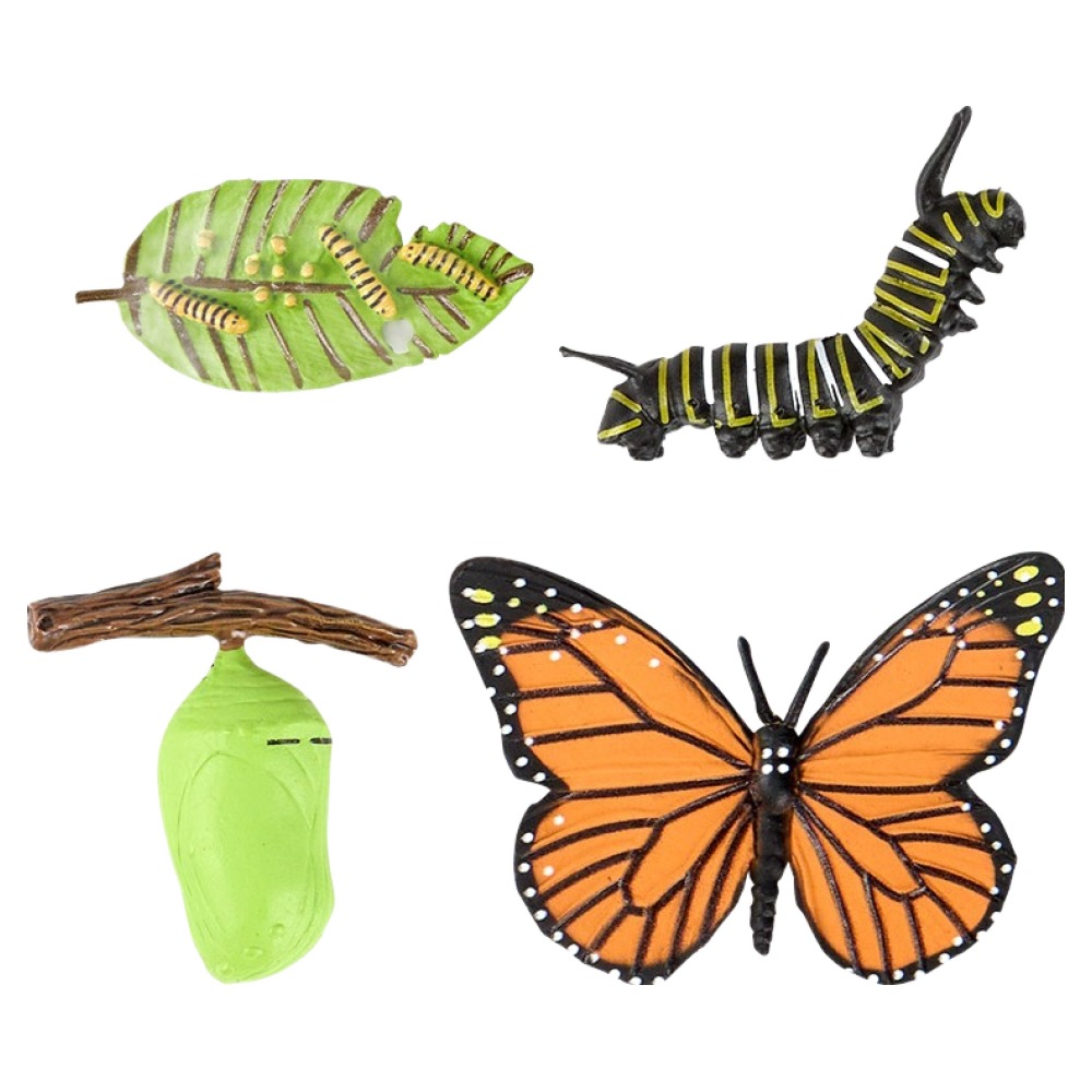 캐스비 네이처 성장과정 피규어 나비 세트 9,600원