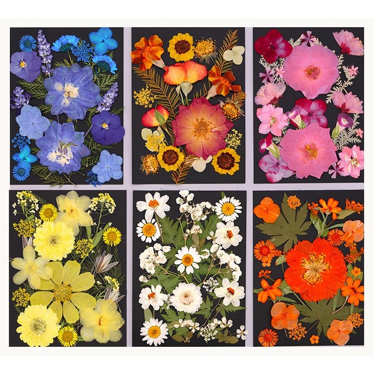압화 꽃 G형 세트 드라이플라워 공예 재료 레진 아트 꽃압화 장식 생화 데코 만들기 6,900원