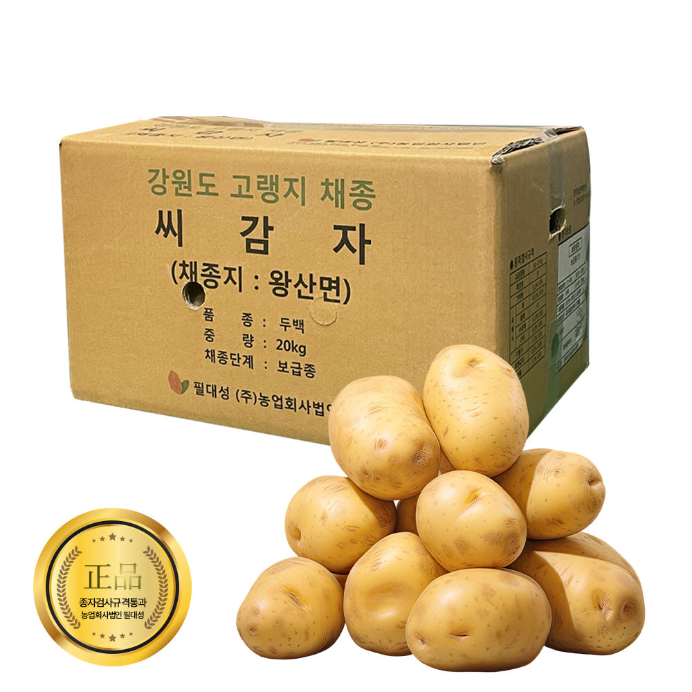 영진팜 강원도 대관령 왕산면 정품 씨감자 4kg 10kg 20kg 보급종 수미 두백 필대성, 20kg, 1개 55,000원