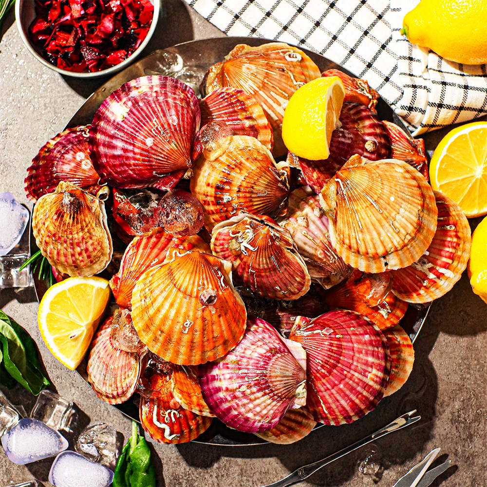 [모두밥상] 프리미엄 통영 세척 홍가리비 1등급, 1박스 34,000원