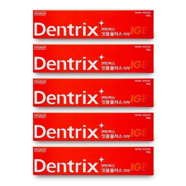 동국제약 덴트릭스 잇몸플러스 치약, 160g, 5개 24,010원