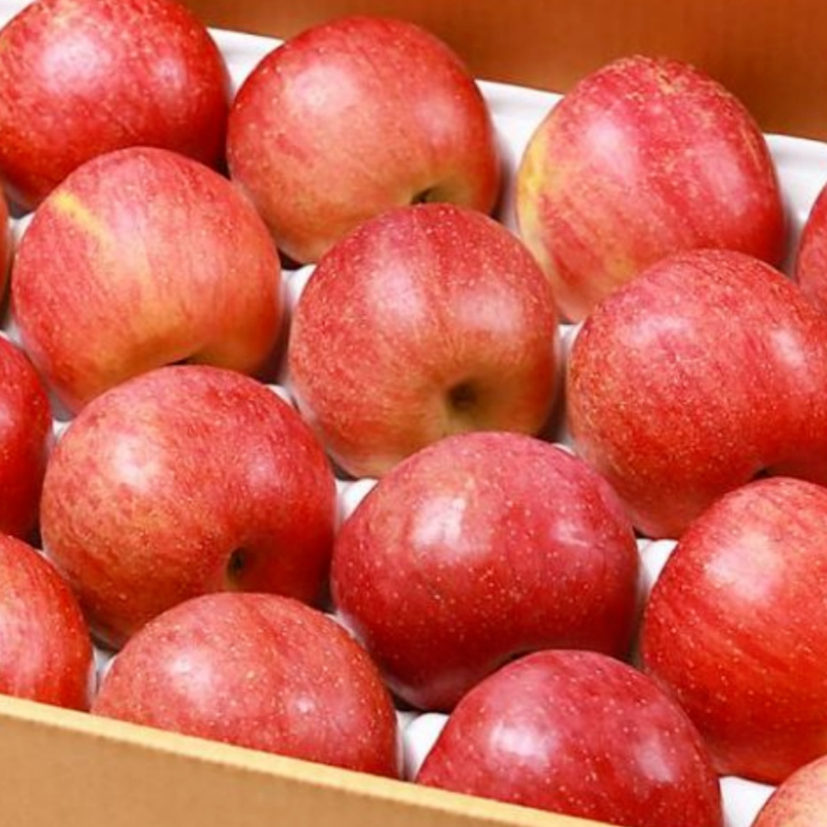 선물용 사과 경북 특품 사과 정품 부사 사과 (정품), 1개, 5kg 대과 (선물 포장) 64,500원