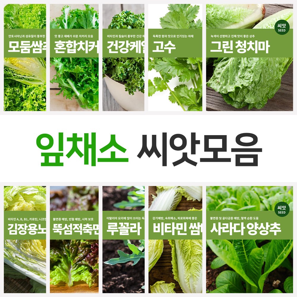 잎채소 쌈채소 씨앗 모음 2,300원