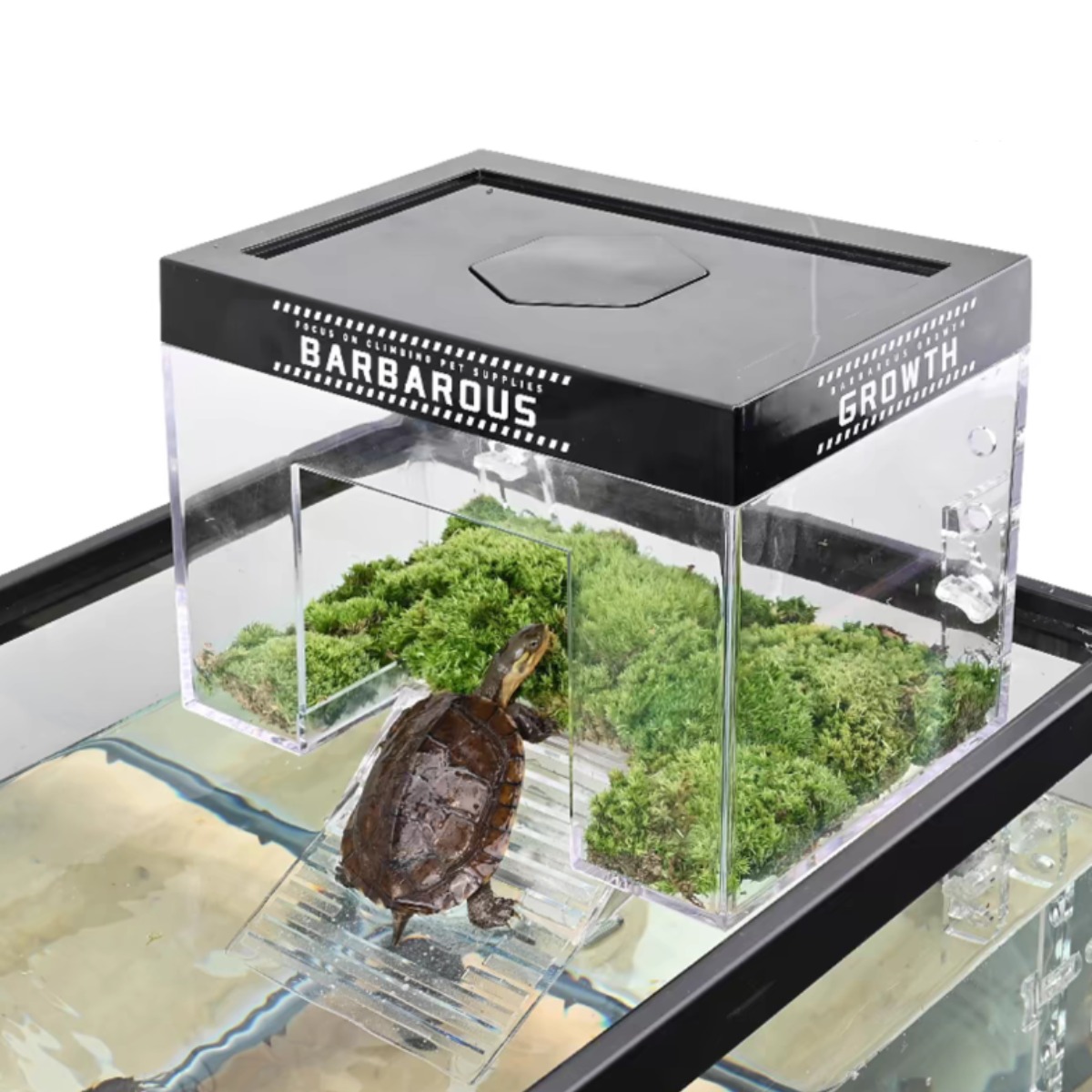 안깨지고 수영하기 좋은 거북이 오두막 육지 쉼터, 1개 35,800원