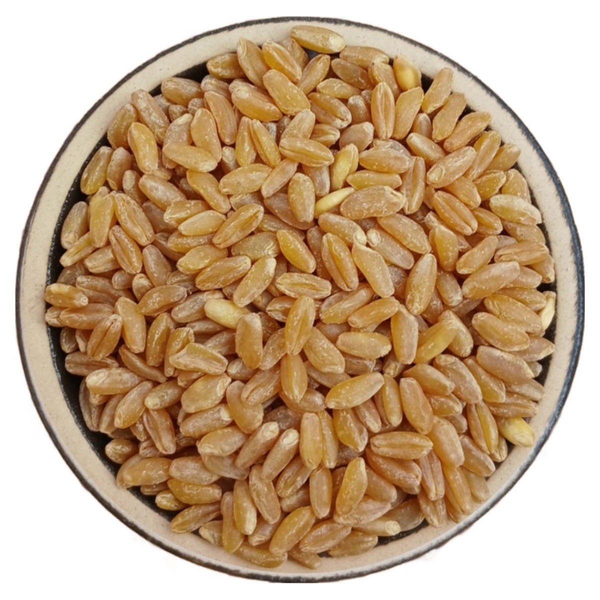 튀르키예 껍질깐 호라산밀 5kg (1kg 5개) (2024년산) 20,300원