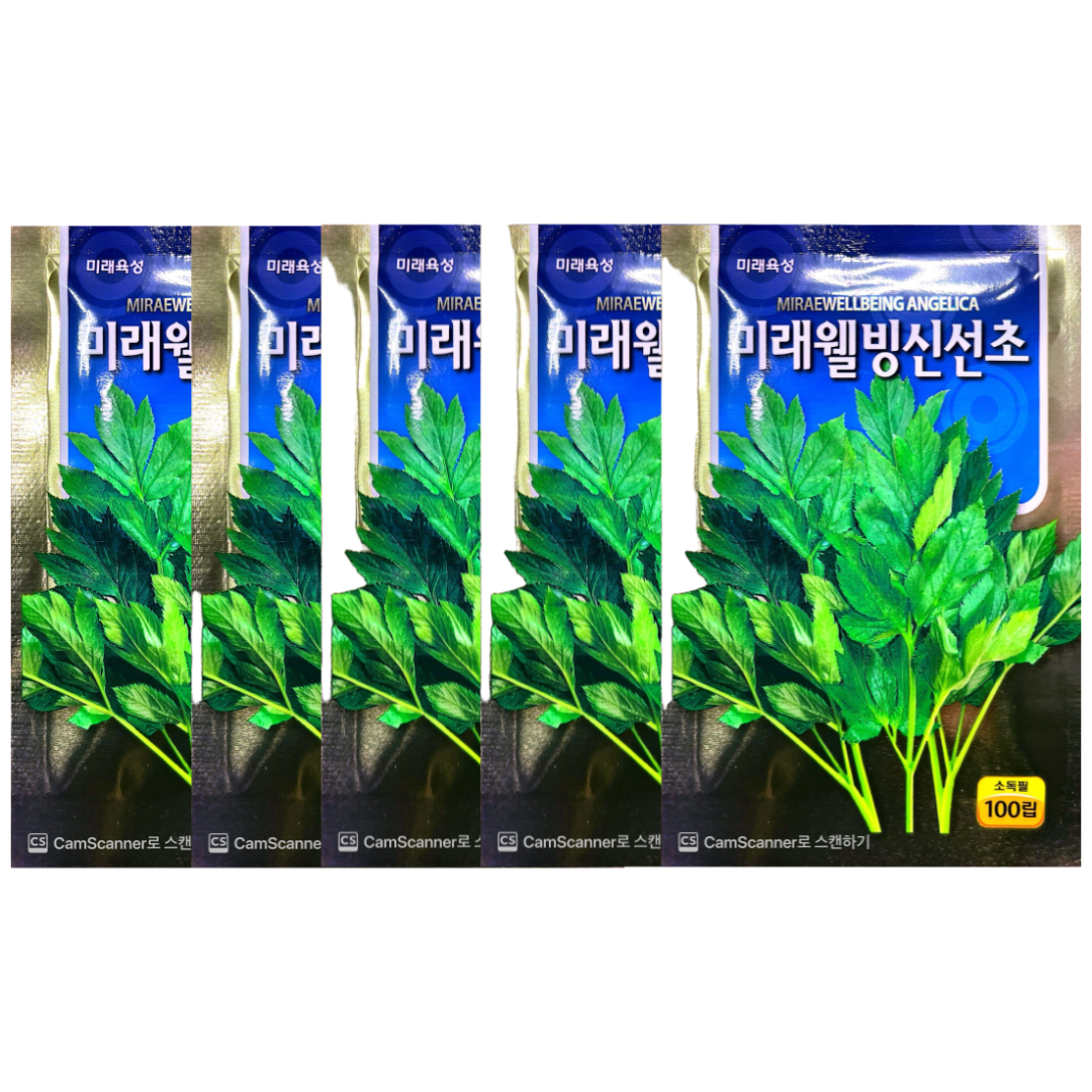 신선초씨앗 신선초5봉세트 무료배송 신선초 종자 봄나물씨앗 나물씨앗 나물종자 쌈채소씨앗 삼대씨앗기획전, 5개 16,000원