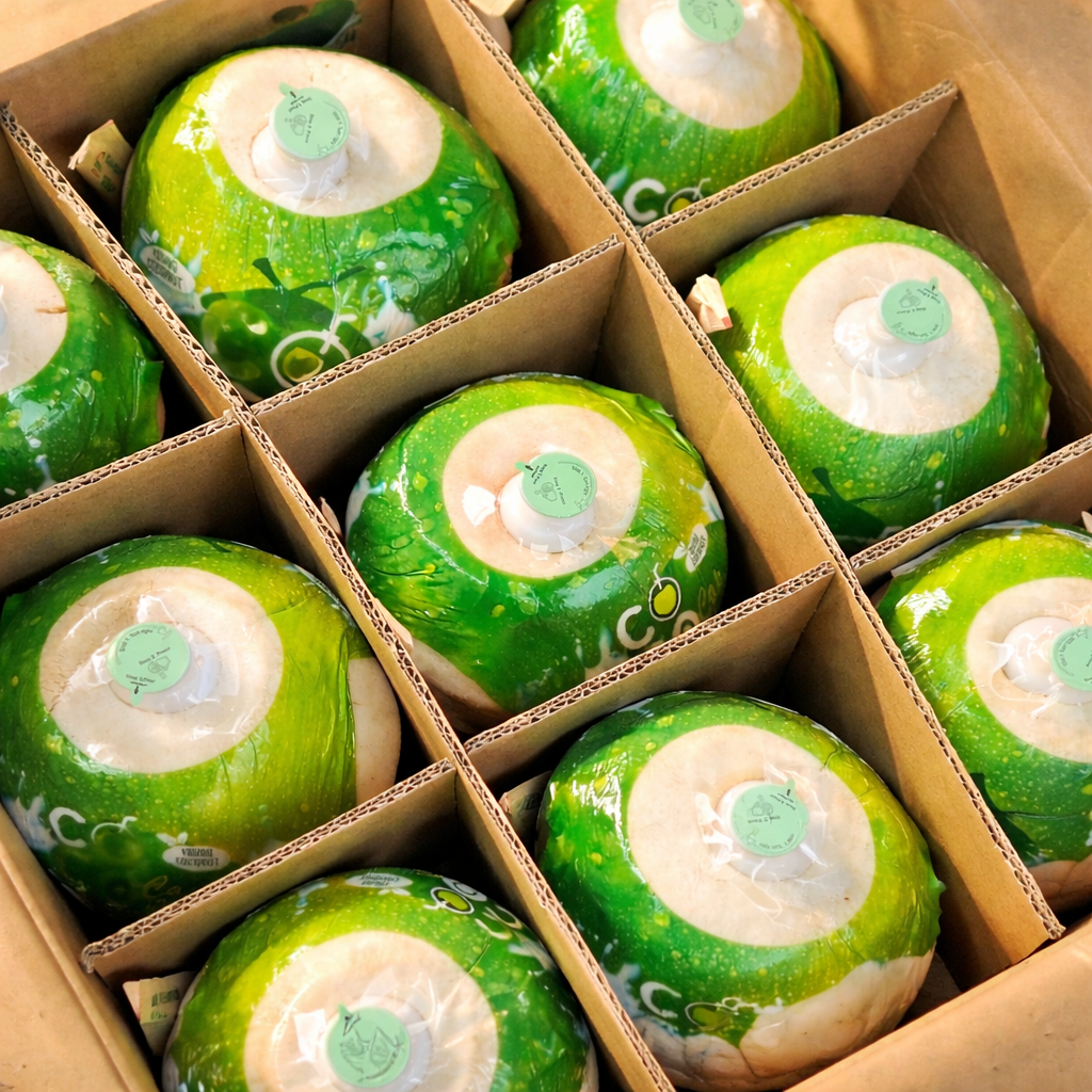 베트남 수입 영코코넛, 1개, 1kg내외 8,800원