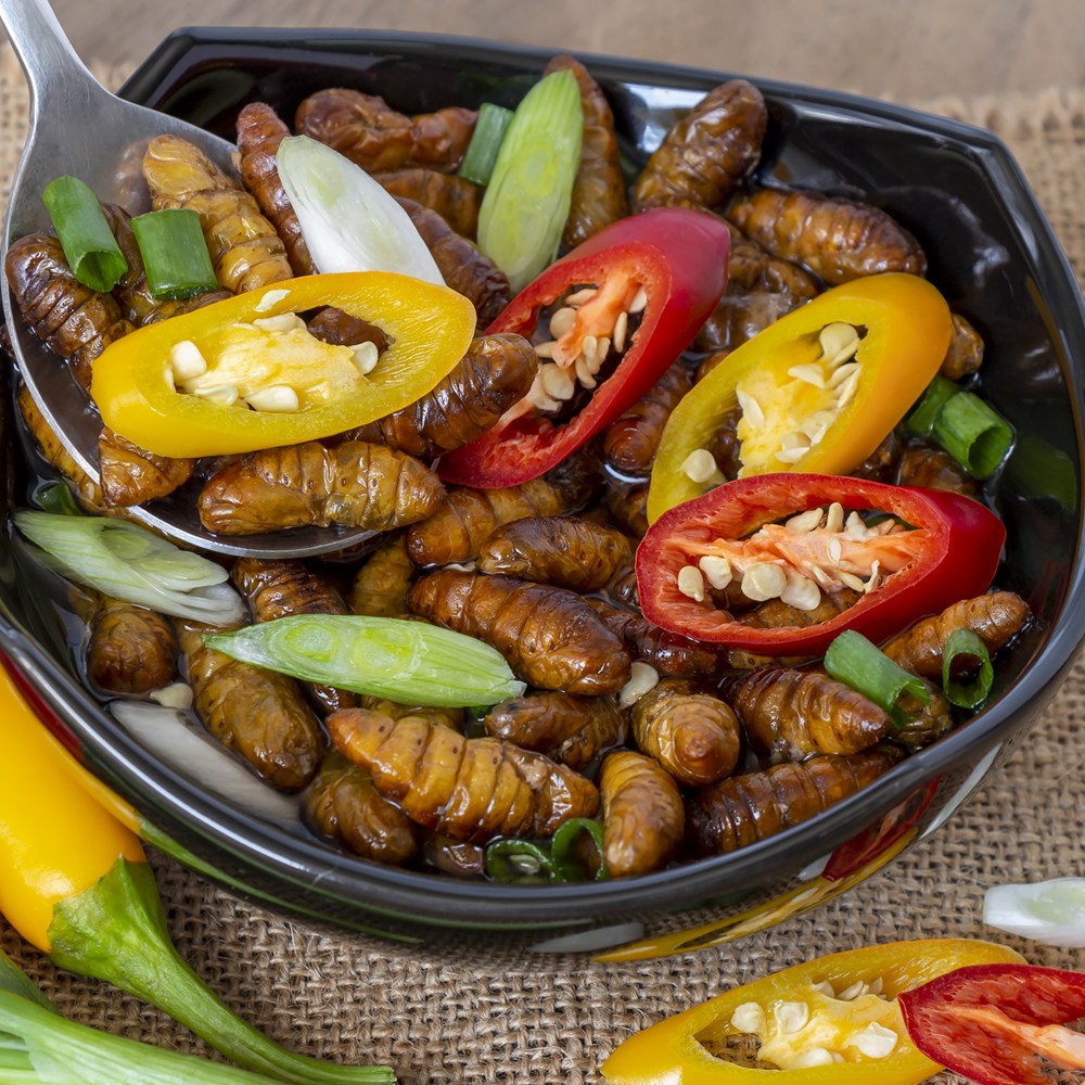 바다받아 번데기 냉동, 안주 간식 고단백 식품 22,300원