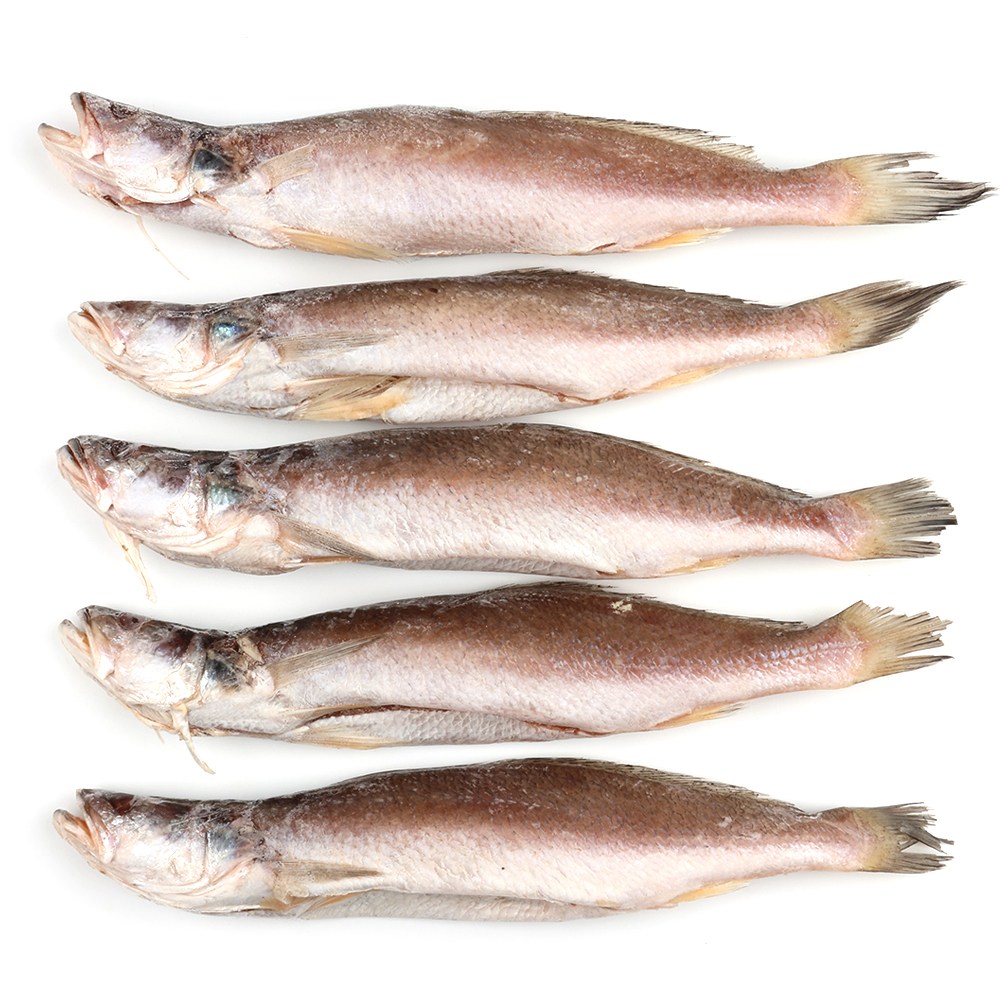 자갈치닷컴 민어조기(뾰조기)2P 35~37cm전후 30마리전후 뾰족조기, 30개, 2P 35~37cm전후 295,000원