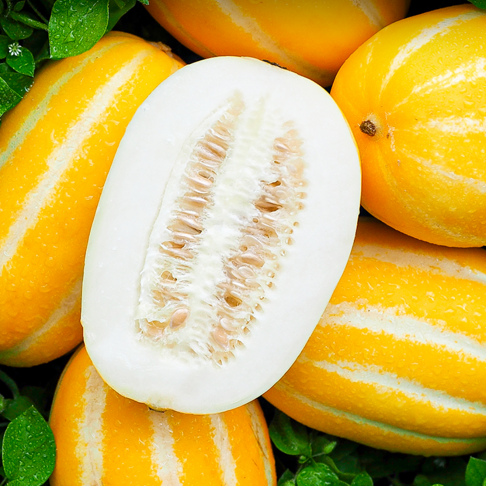 [감동특가] 재구매율1위 아삭/달달한 성주꿀참외, 1박스, 꼬마 3kg 37,900원