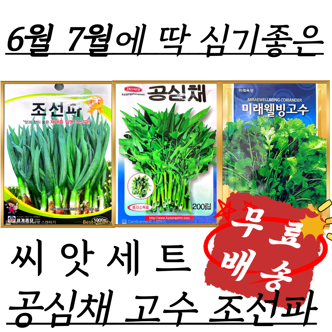 공심채씨앗 고수씨앗 조선파씨앗 3종세트 3대씨앗 무료배송 기획전, 1세트 10,740원
