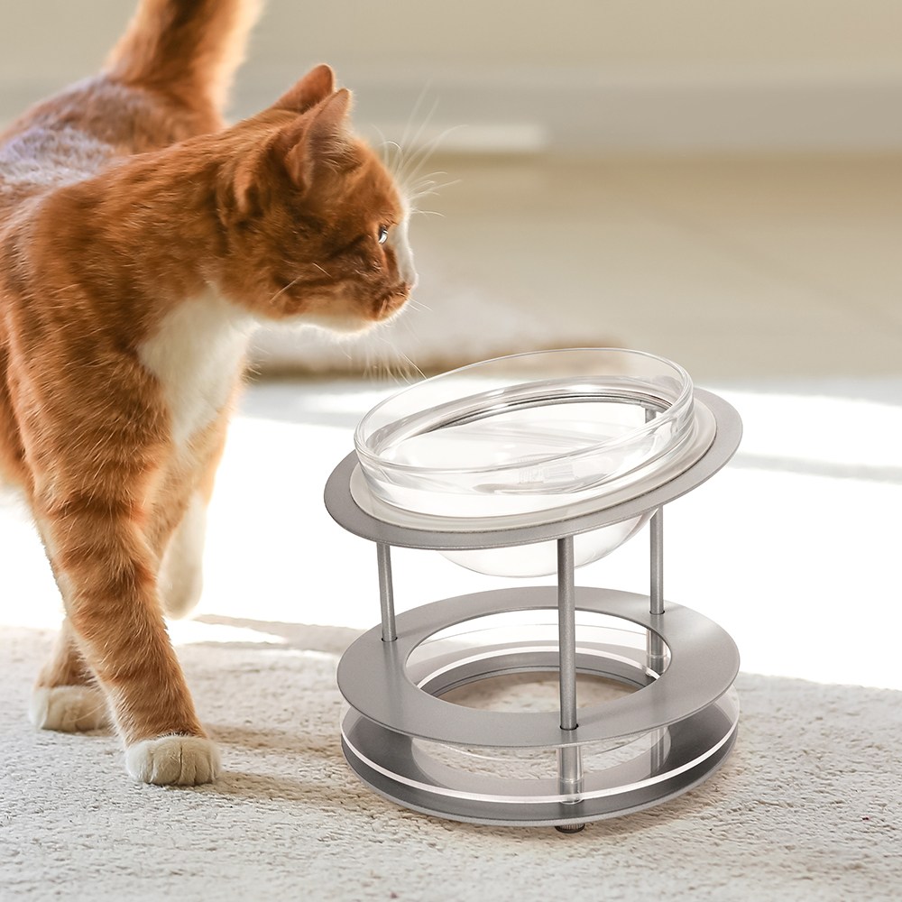 펫코본 스틸프레임 투명유리볼 식기 고양이밥그릇 묵직한 안정감 21,800원