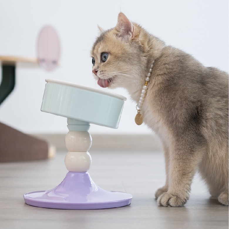 팔업 강아지 밥그릇 고양이 밥그릇 높이각도조절형 도자기 식기, 1개, 라벤더민트 21,780원