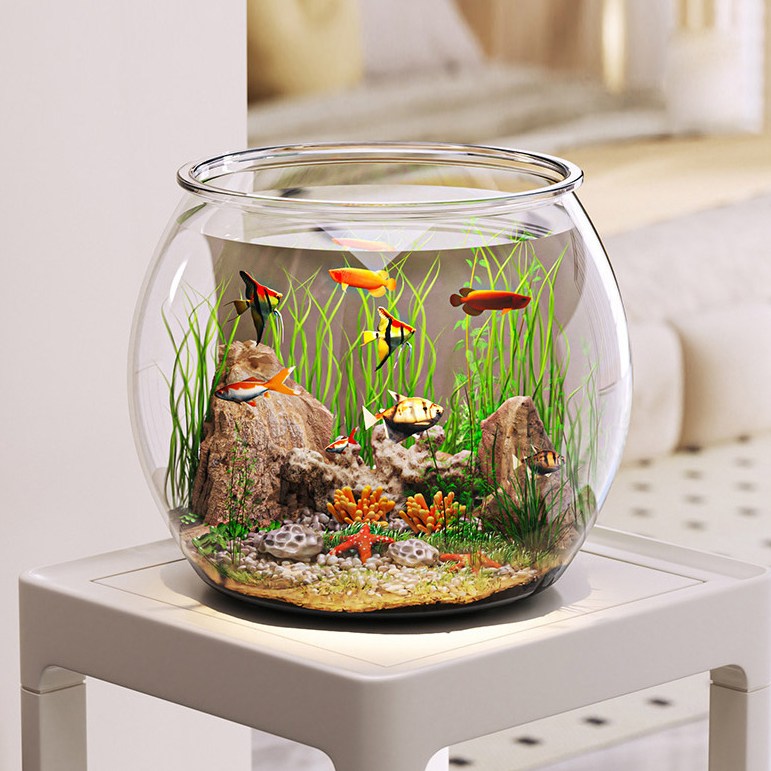 투명 플라스틱 수조 인테리어 수족관 어항 21,900원