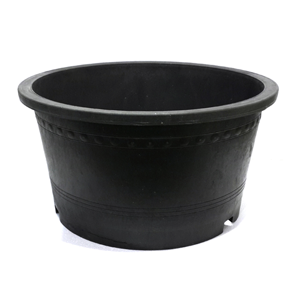 신형블루베리분(대)-대형화분 블루베리화분 고무화분 도로화분 64,100원