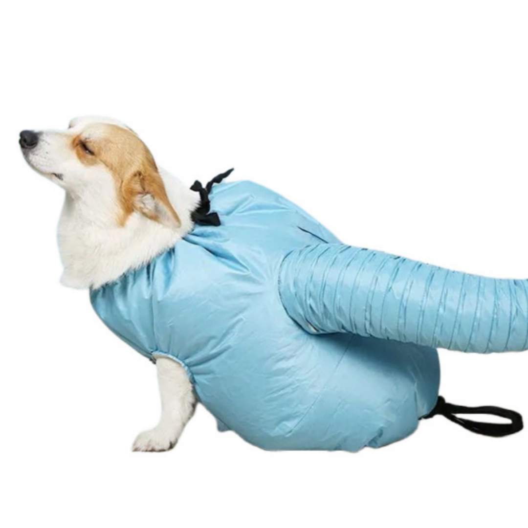 슈프렌 반려동물 털 건조 퀵 드라이 백 핸즈프리 펫 슈트, 1개, 블루 12,200원