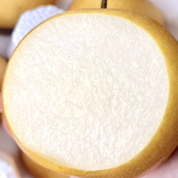 [선착순한정] 아삭아삭 꿀당도 배 초특가세일 23,400원