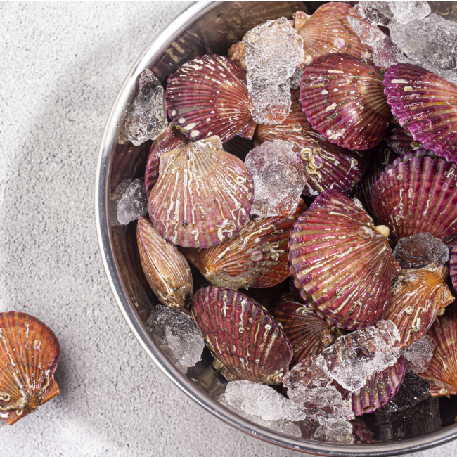 국내산 홍가리비 남해안 냉동가리비 캠핑용 조개구이 가리비술찜 다양한 이용 12,000원