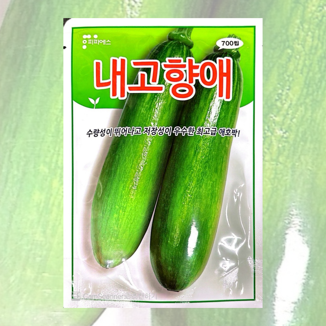 내고향애 애호박씨앗 700립 [26년포장] 피피에스 애호박종자 60,000원