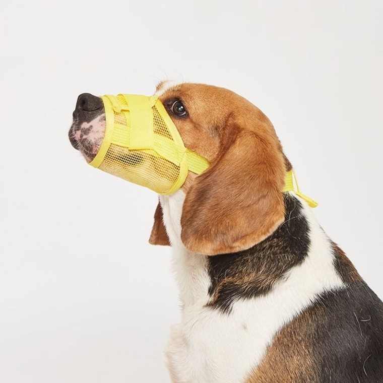 YJR 반려견용 매쉬 안전 입마개 2p 강아지 산책 외출 짖음방지 물림방지 13,000원