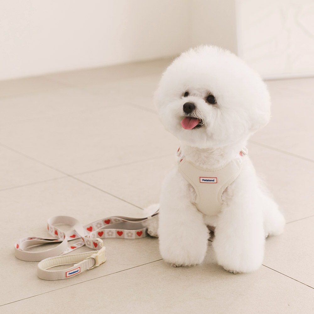 펫츠랜드 강아지 하트팝 하네스 + 핸즈프리 리드줄 세트 29,800원