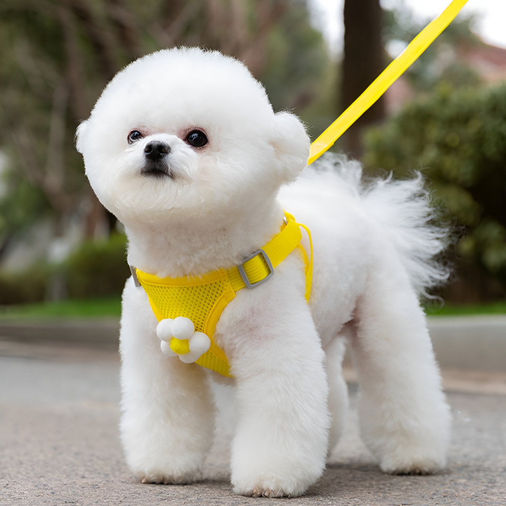 레이미데이 강아지 여름 하네스 매쉬 경량 조끼 리드줄 원터치 세트 9,480원