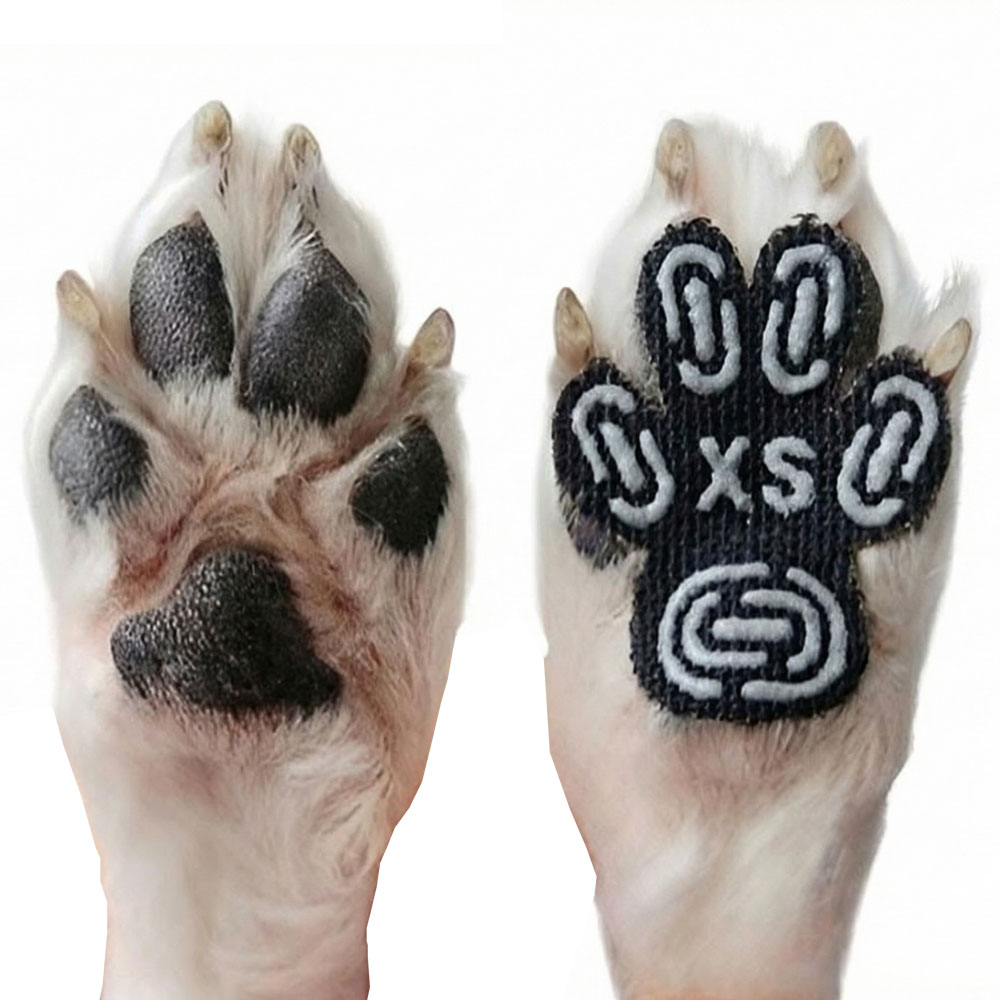 강아지 미끄럼방지 발바닥패드 논슬립 노령견 슬개골 반려견 아임펫벳, 블랙, 1세트 7,990원