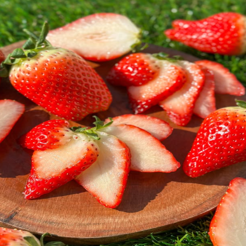 [최저가도전] 산지직송 고당도 100% 당도선별 킹스베리 15,800원