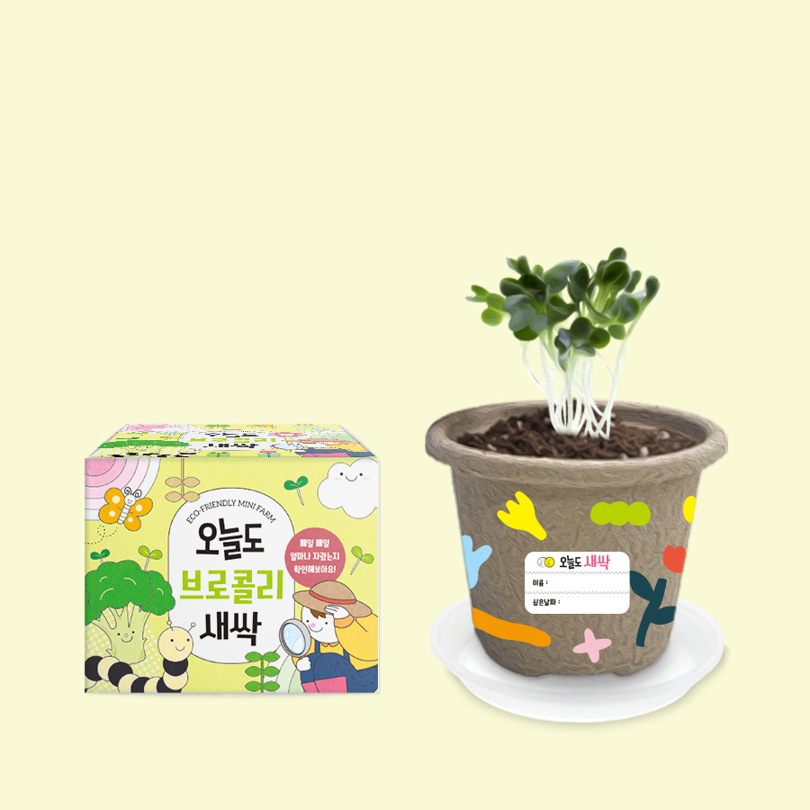 오늘도새싹 식물키우기 브로콜리 미니화분 2,600원
