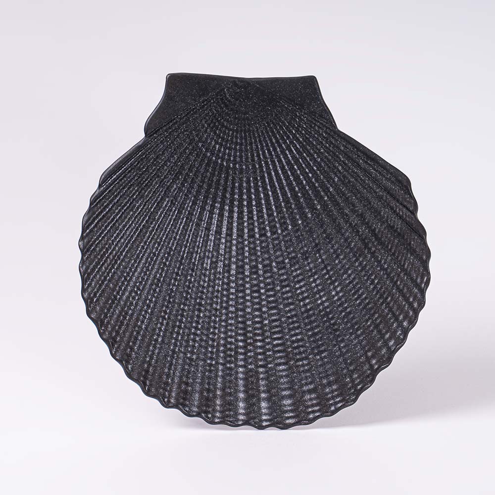 온도아리아 가리비접시 브런치 파스타 플레이팅 그릇 대형 77,900원